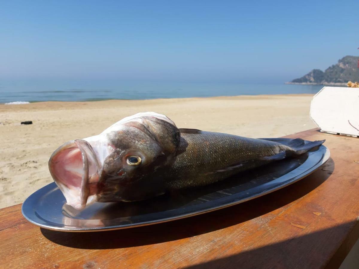 Bungalow Minonthebeach 가에타 외부 사진